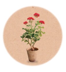 کاغذ کادو کرافت (2)