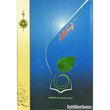 کتاب گذری در کوی نیک نامان (جلد نرم)