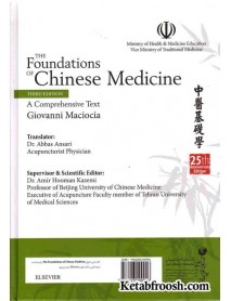 کتاب مبانی جامع طب چینی جلد چهارم