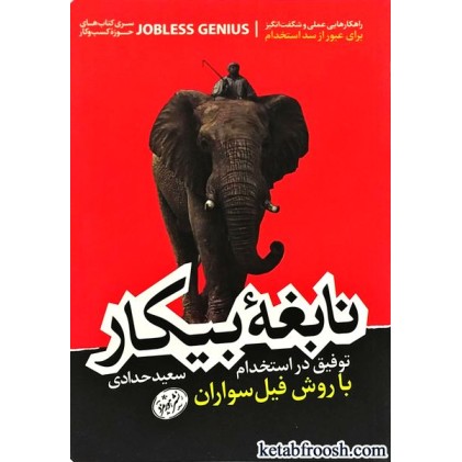 کتاب نابغه بیکار