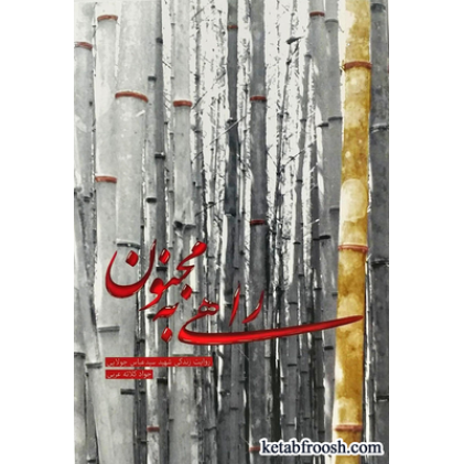 کتاب راهی به مجنون