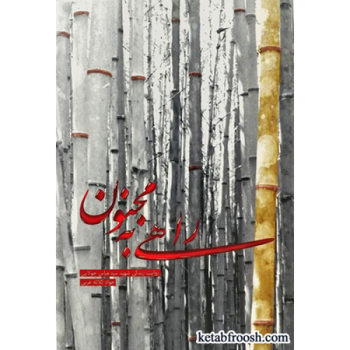 کتاب راهی به مجنون
