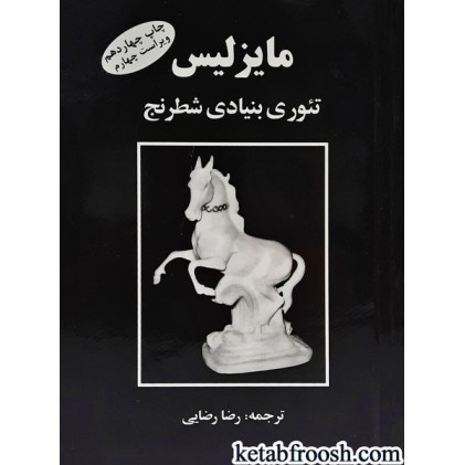 کتاب مایزلیس