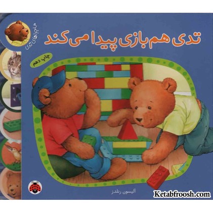 کتاب تدی هم بازی پیدا می کند (ماجراهای تدی)