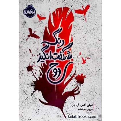 کتاب رنگ شگفت انگیز روح