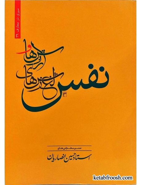 کتاب ارزش ها و لغزش های نفس استاد حسین انصاریان