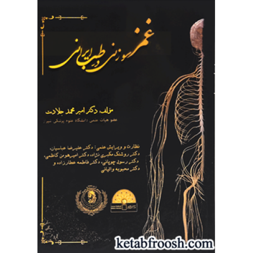 کتاب غمز سوزنی در طب ایرانی