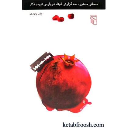 کتاب سه گزارش کوتاه درباره ی نوید و نگار