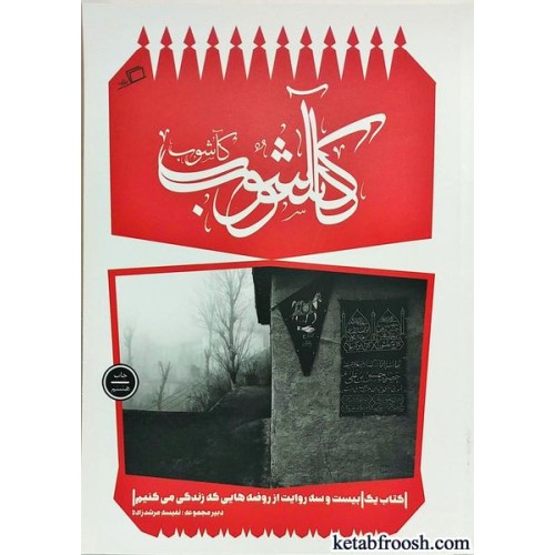 کتاب کاشوب