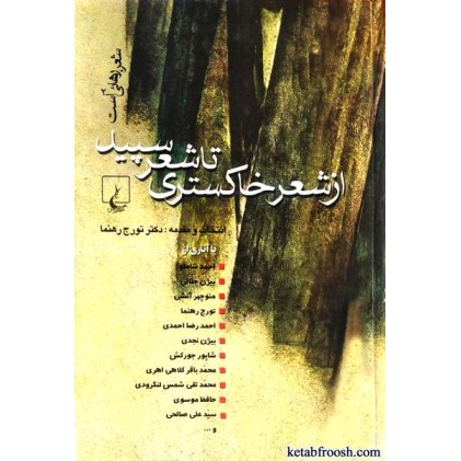 کتاب از شعر خاکستری تا شعر سپید