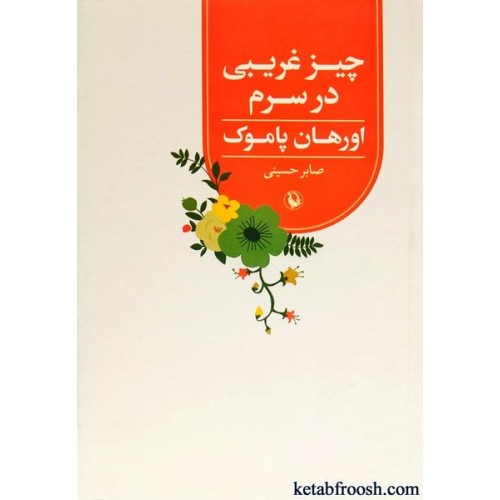 کتاب چیز غریبی در سرم