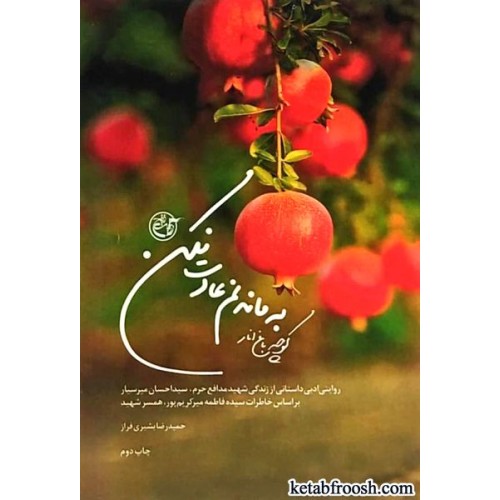 کتاب کوچه باغ انار به ماندنم عادت نکن