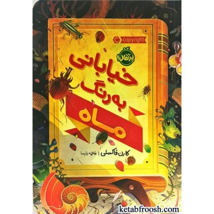 کتاب خیابانی به رنگ ماه